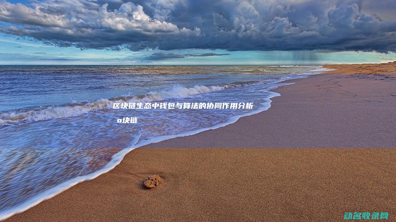 区块链生态中钱包与算法的协同作用分析 (区块链生态中心有哪些)